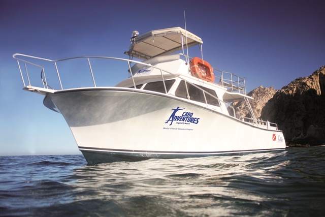 Scuba Diving - Cabo San Lucas, Los Cabos, Mexico