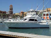 Reel Slippery Lizzard - 43 ft Bertram - Slippery Lizzard Sportfishing - Cabo San Lucas