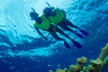 Snorkel & Sea Adventure - Cabo San Lucas, Los Cabos, Mexico