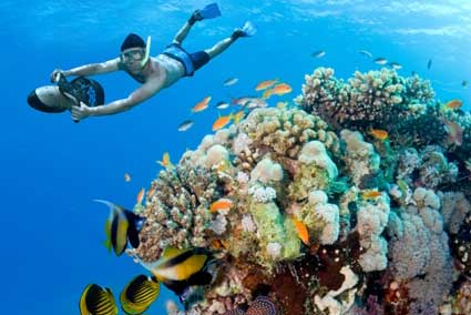 Snorkel & Sea Adventure - Cabo San Lucas, Los Cabos, Mexico