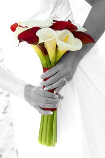 vicotr alvarado photographer - los cabos, mexico